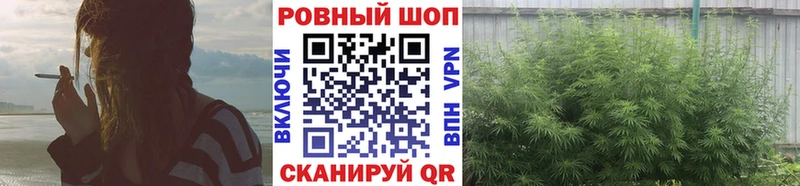 Купить наркотики цена Болхов Cocaine  APVP  ГАШ 