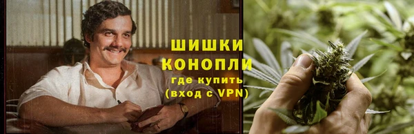 сатива Верхнеуральск