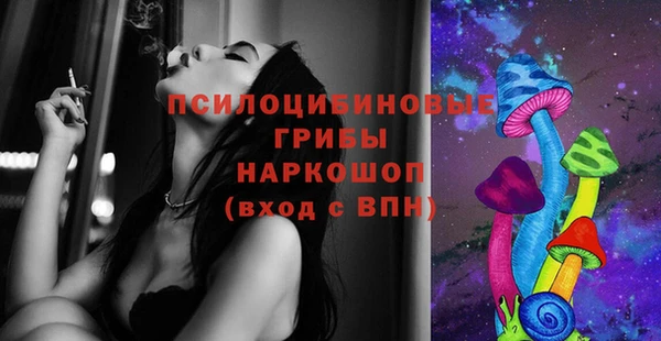 сатива Верхнеуральск