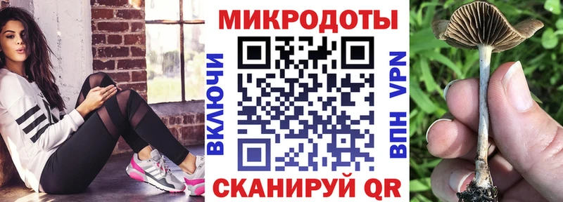 Псилоцибиновые грибы MAGIC MUSHROOMS  блэк спрут маркетплейс  Болхов 
